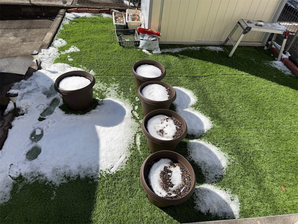 f:id:willemer:20260210175816j:image