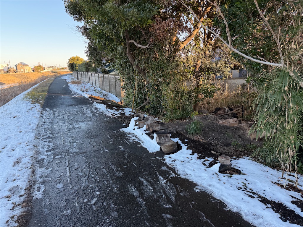 f:id:willemer:20260210175824j:image