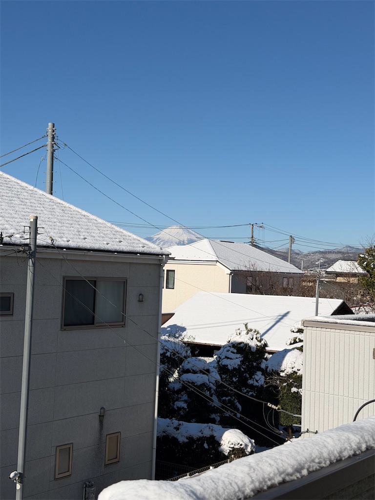 f:id:willemer:20260210175857j:image