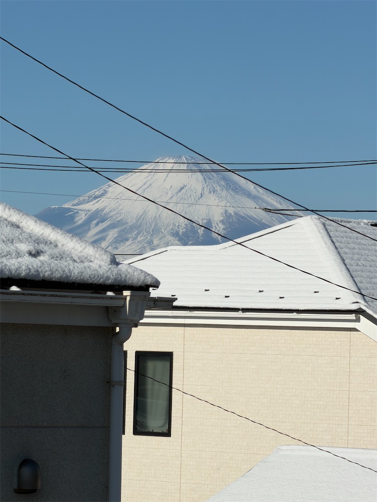 f:id:willemer:20260210175931j:image