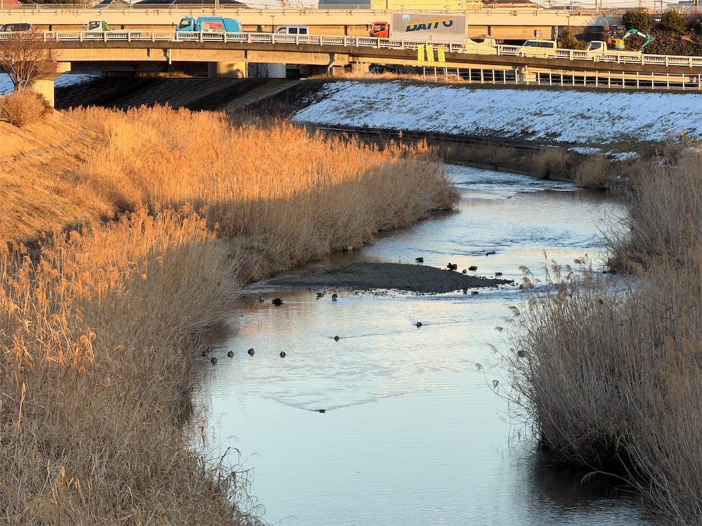 f:id:willemer:20260210180007j:image