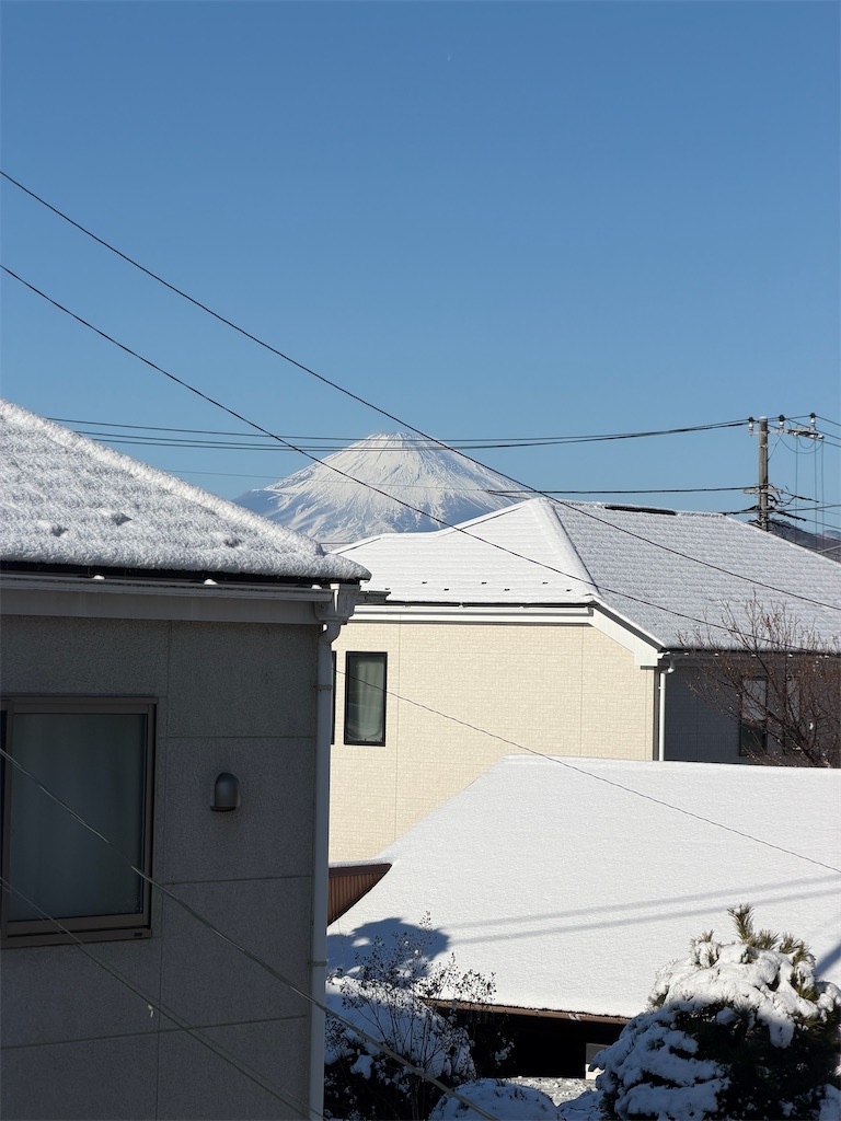 f:id:willemer:20260210180017j:image