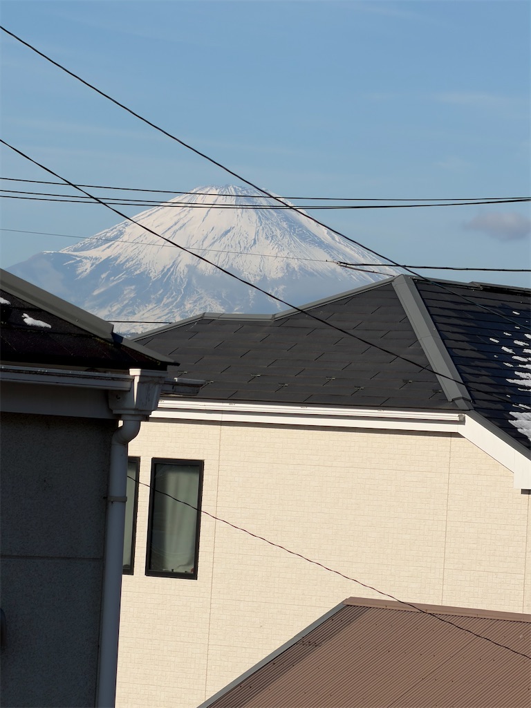 f:id:willemer:20260212213257j:image