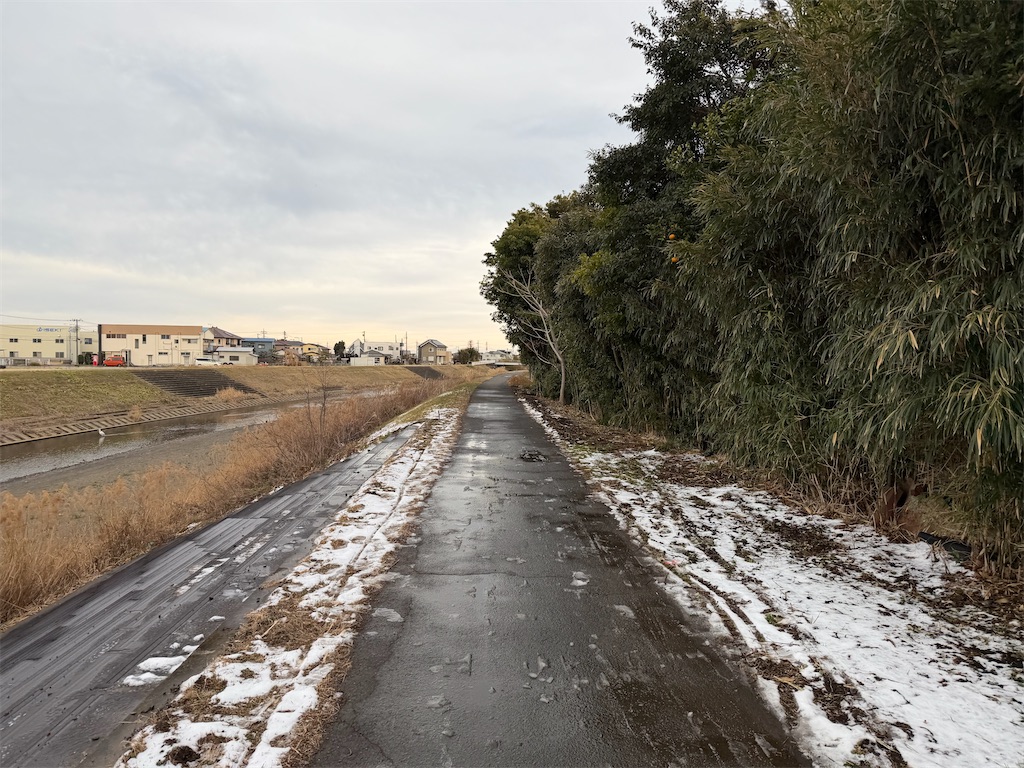 f:id:willemer:20260212214523j:image