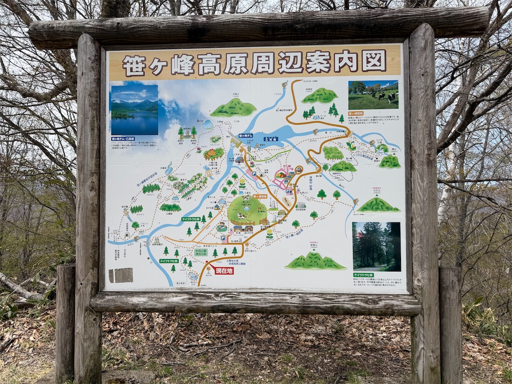 f:id:willemer:20260524000925j:image f:id:willemer:20260524000925j:image