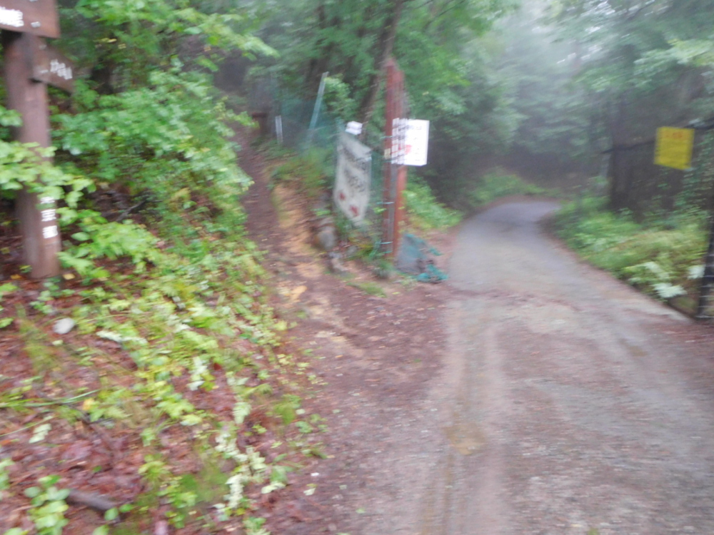 f:id:willie_boo:20200421204052j:plain f:id:willie_boo:20200421204052j:plain