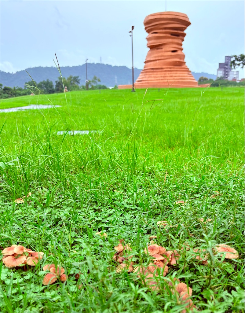f:id:wind_bell_flower:20260616131248j:image f:id:wind_bell_flower:20260616131248j:image