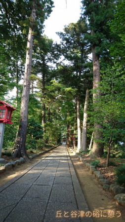 f:id:wind_sky86:20170717162558j:plain