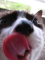20081115161444