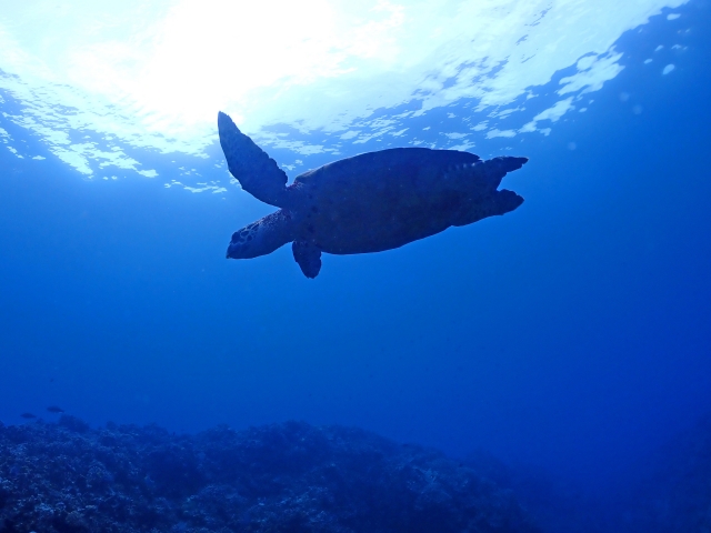 f:id:windbandpress:20210819140902j:plain