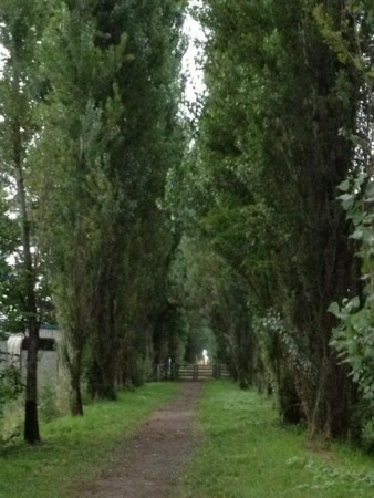 f:id:windnile:20120918230334j:image f:id:windnile:20120918230334j:image