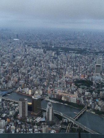 f:id:windnile:20140712153024j:image f:id:windnile:20140712153024j:image