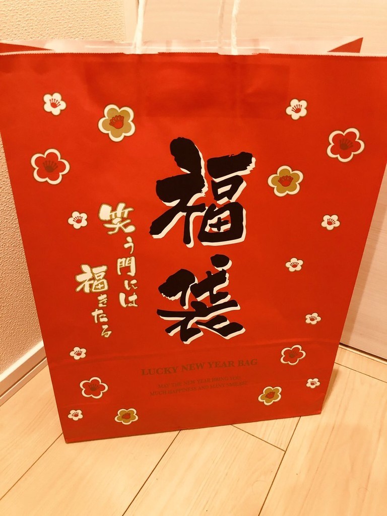 f:id:windnile:20190217000714j:plain:h400 f:id:windnile:20190217000714j:plain:h400