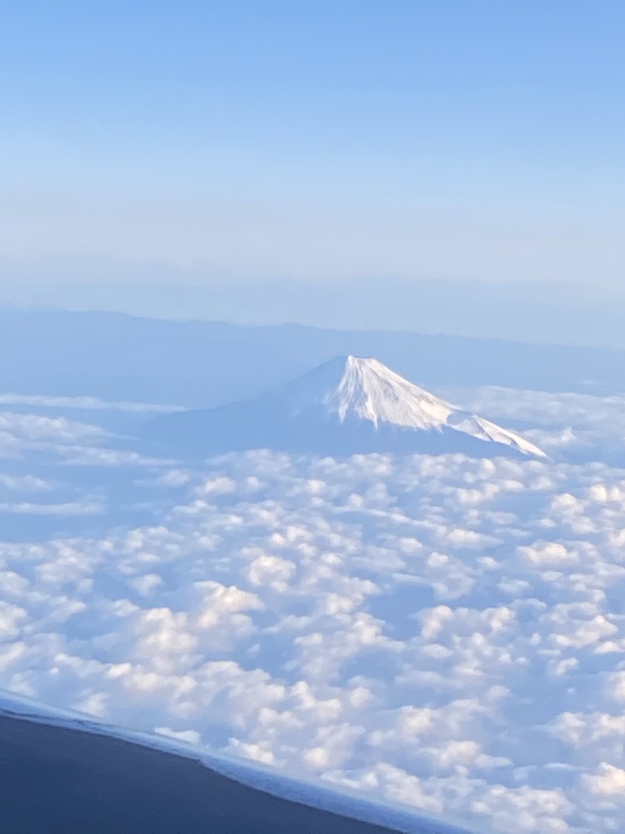 f:id:windnile:20200210014045j:plain:h375 f:id:windnile:20200210014045j:plain:h375