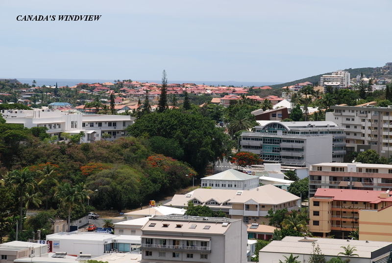 フランボワイヤン(Flamboyant) CANADA'S WINDVIEW