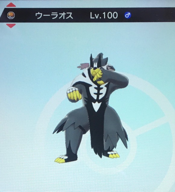 f:id:windy-poke:20200901151928j:plain f:id:windy-poke:20200901151928j:plain