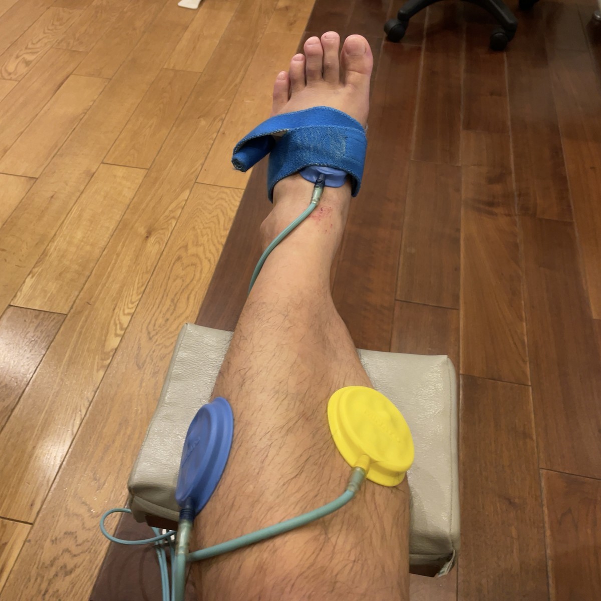 f:id:wine:20210902103523j:plain