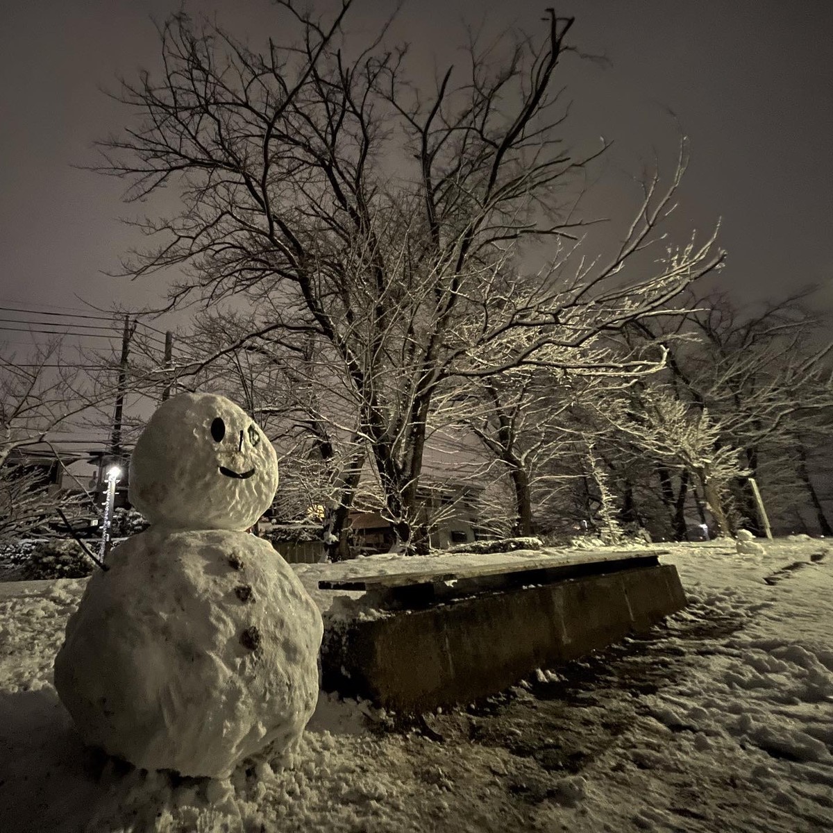 f:id:wine:20220106203653j:plain