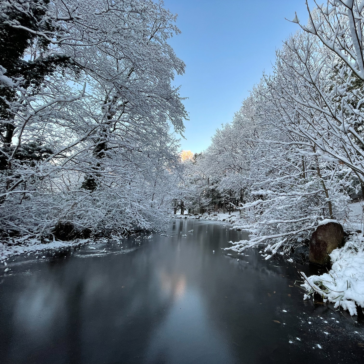 f:id:wine:20220107071104j:plain