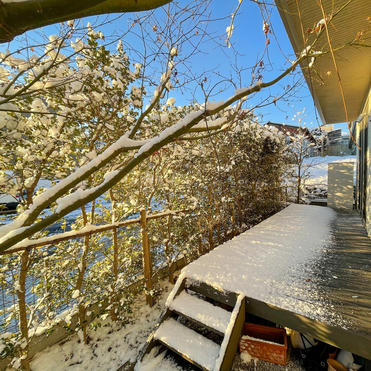 f:id:wine:20220107072959j:plain