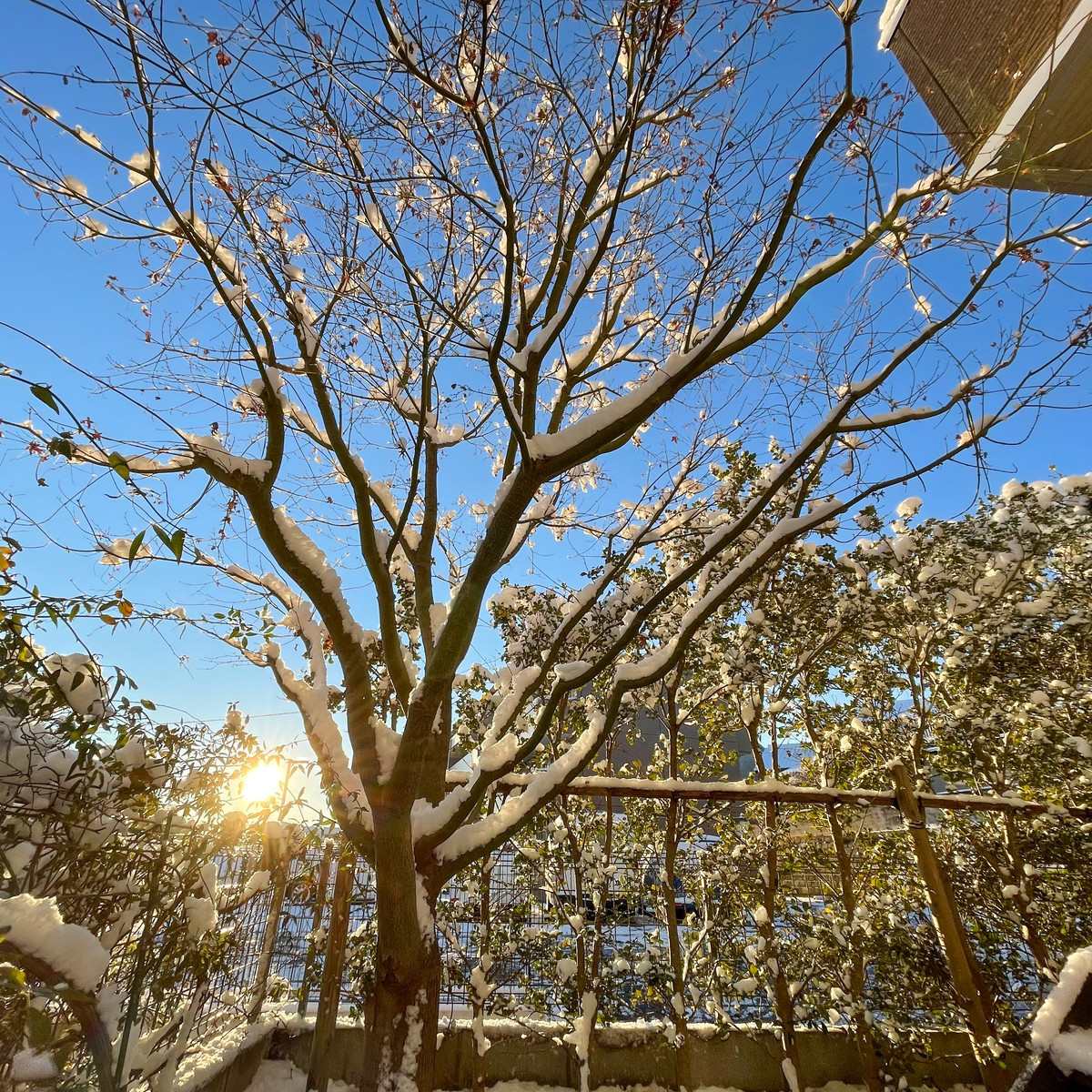 f:id:wine:20220107073011j:plain