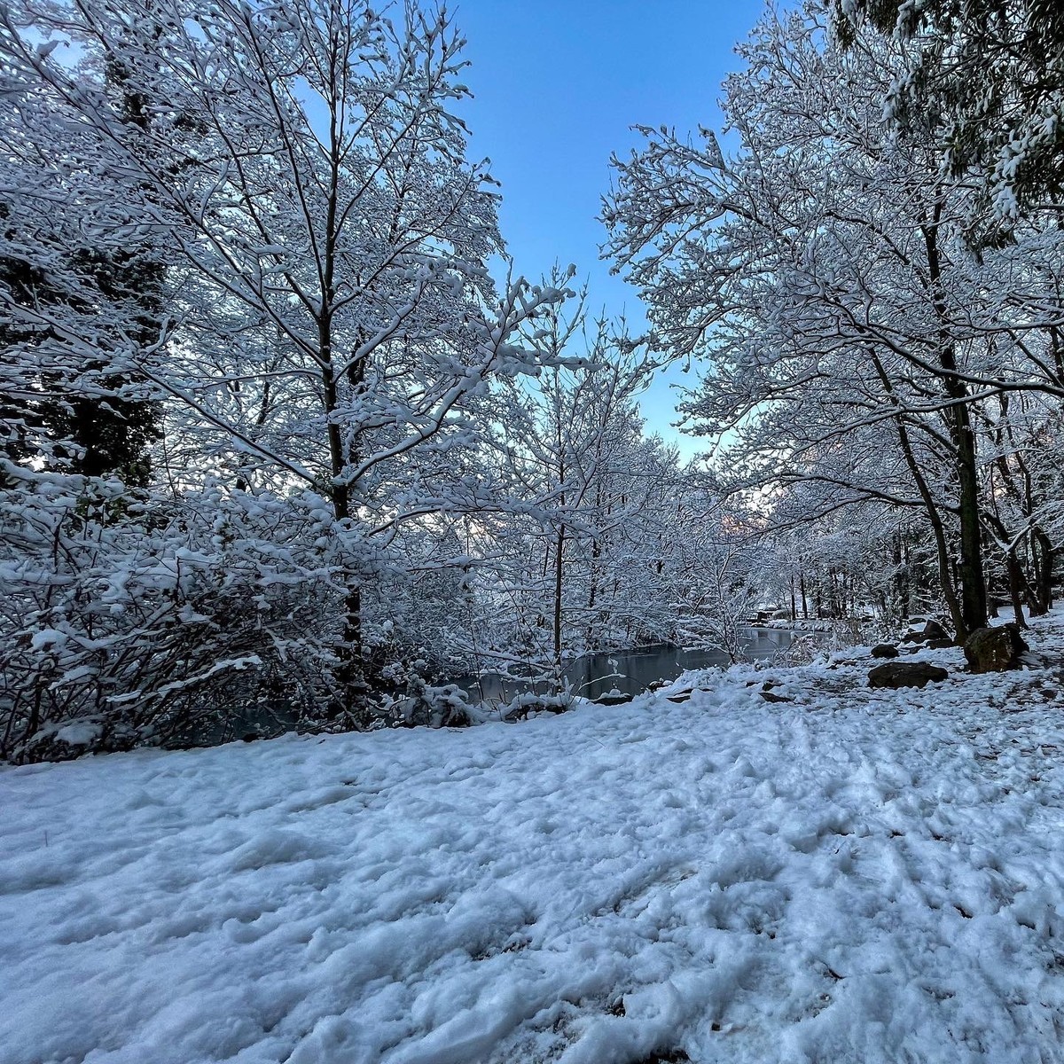 f:id:wine:20220107100209j:plain