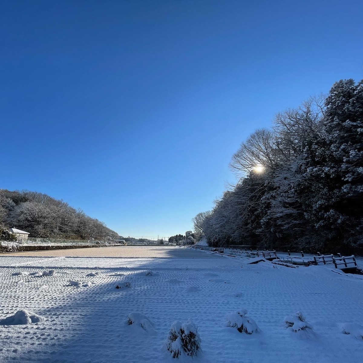 f:id:wine:20220107100211j:plain