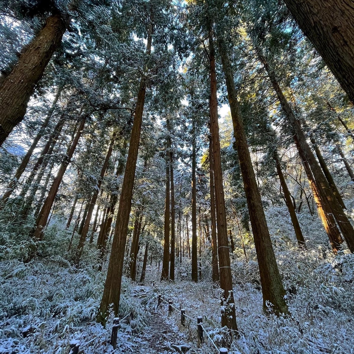 f:id:wine:20220107100212j:plain