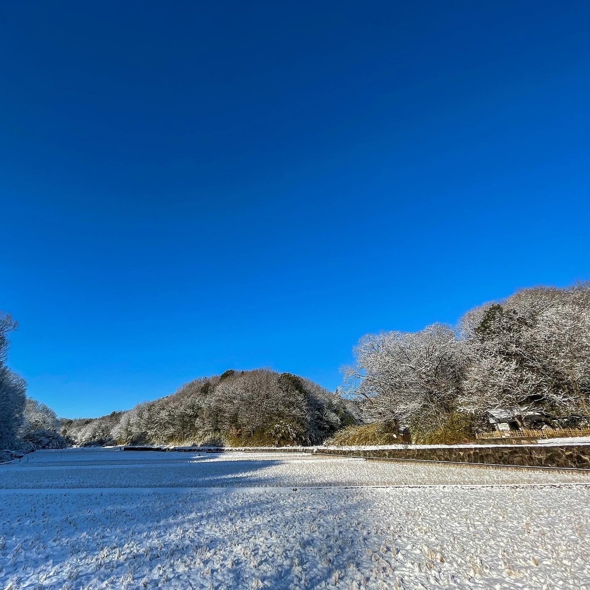 f:id:wine:20220107100213j:plain