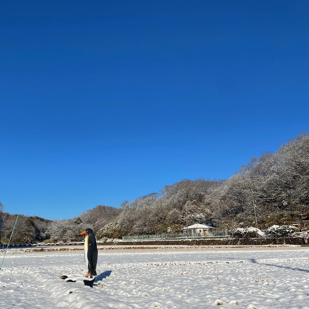 f:id:wine:20220107100214j:plain