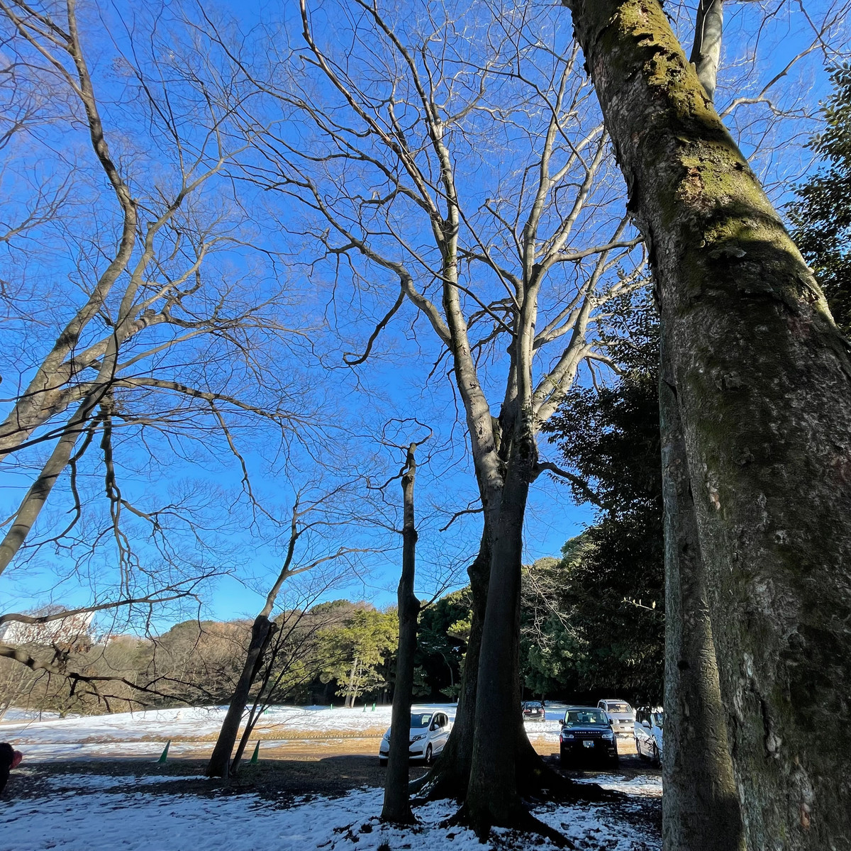 f:id:wine:20220107135645j:plain