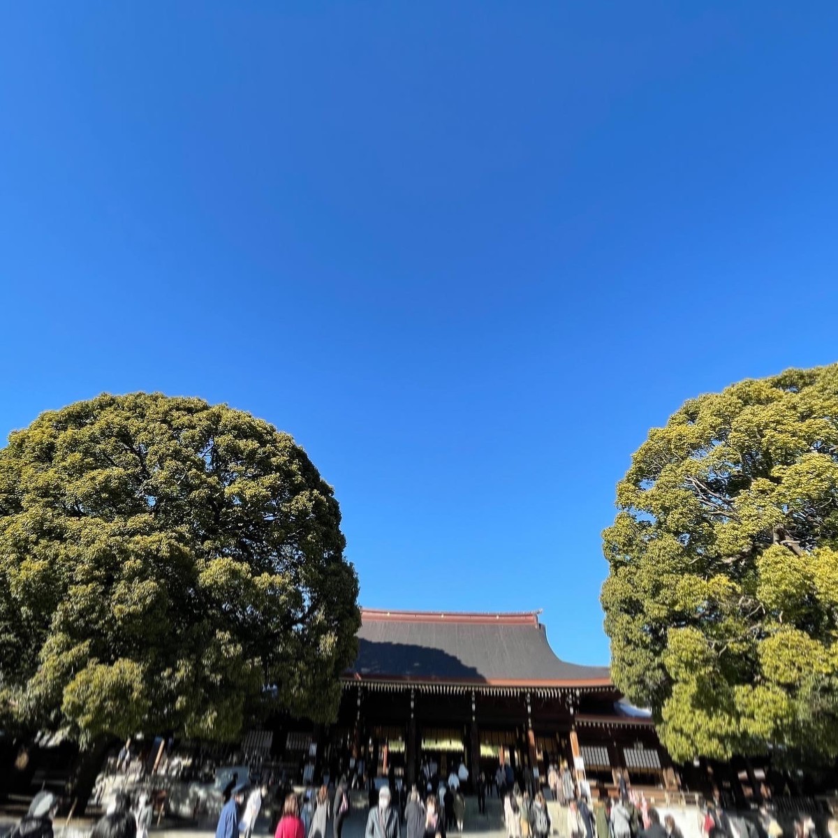 f:id:wine:20220107140558j:plain