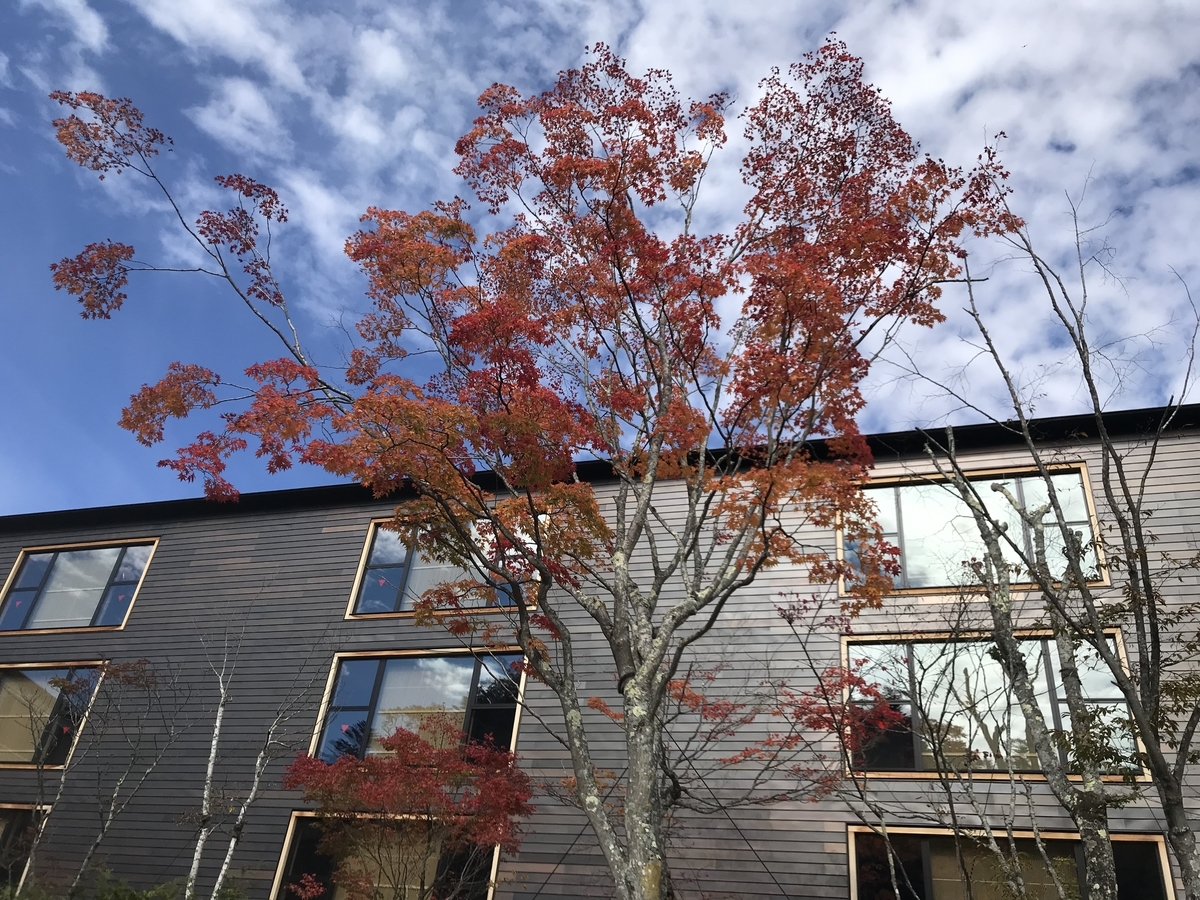 ザ・リッツ・カールトン日光 客室棟と紅葉（Marriott & Go）