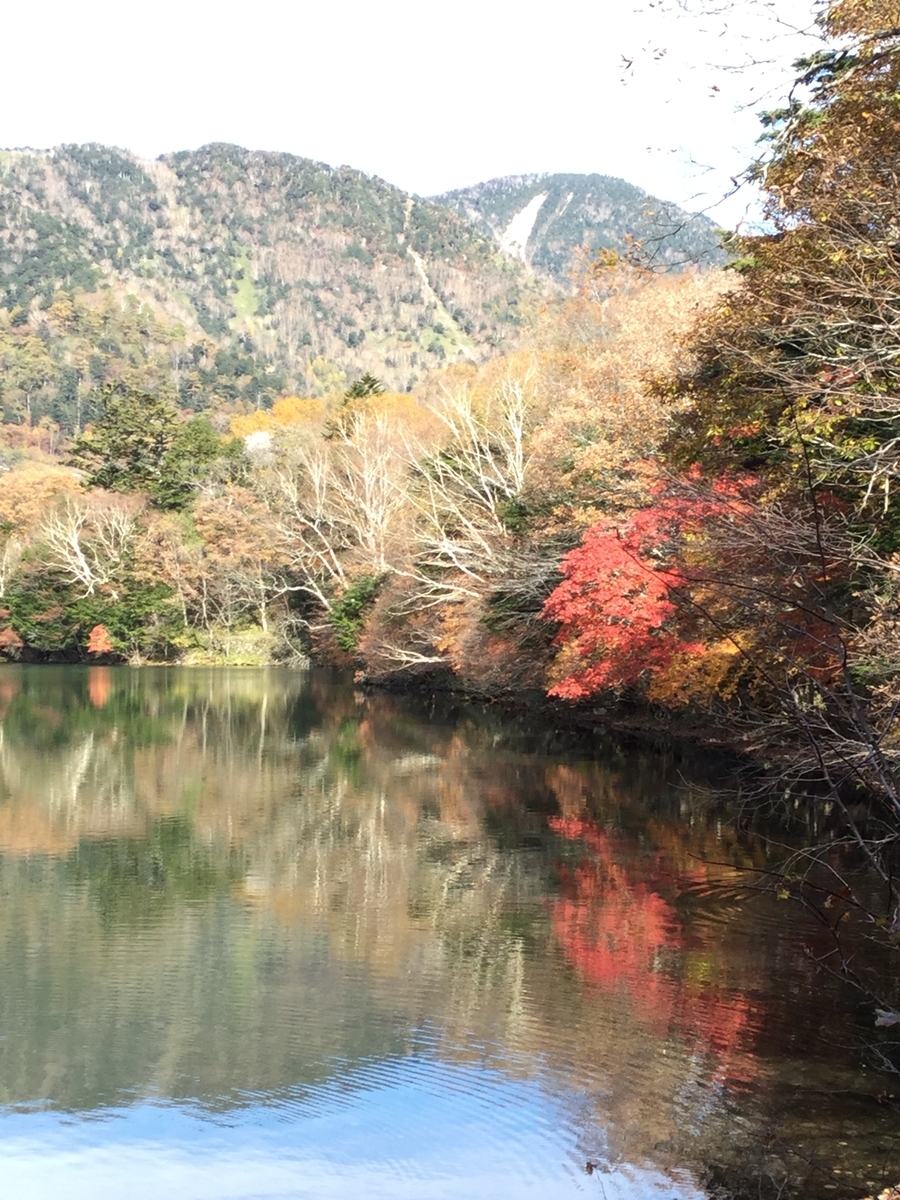 湯ノ湖・湖畔の紅葉（2022.10.21）（Marriott & Go）