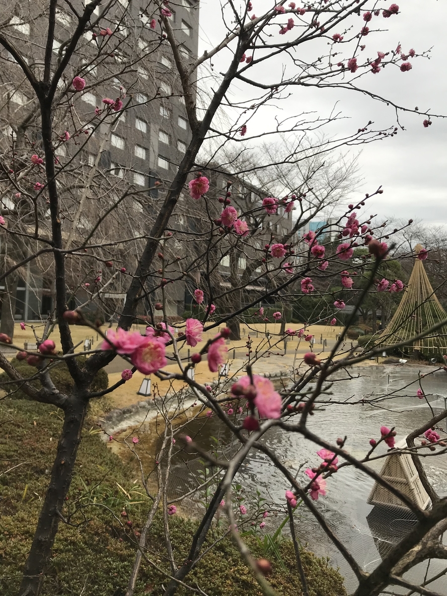 ザ・プリンスさくらタワー東京 日本庭園(Marriott&Go)