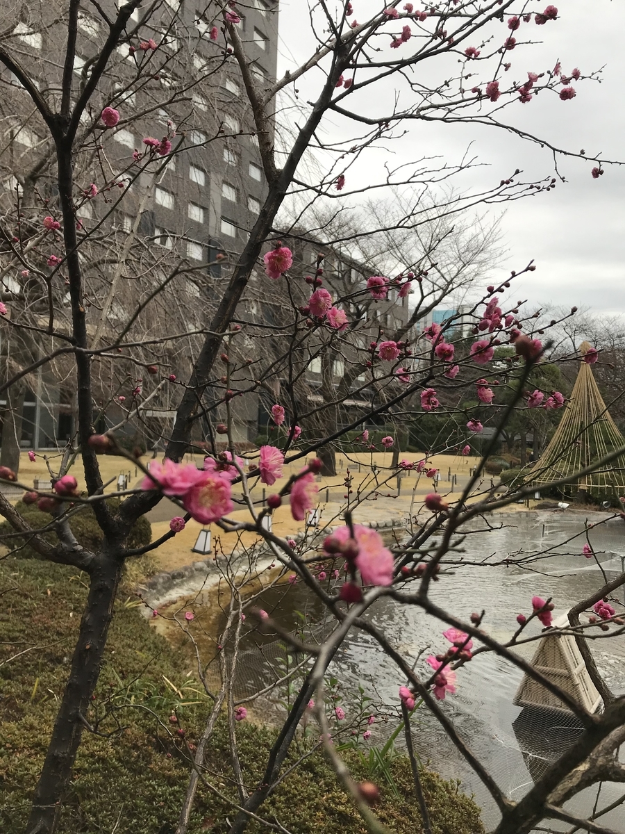 ザ・プリンスさくらタワー東京 日本庭園（Marriott&Go）