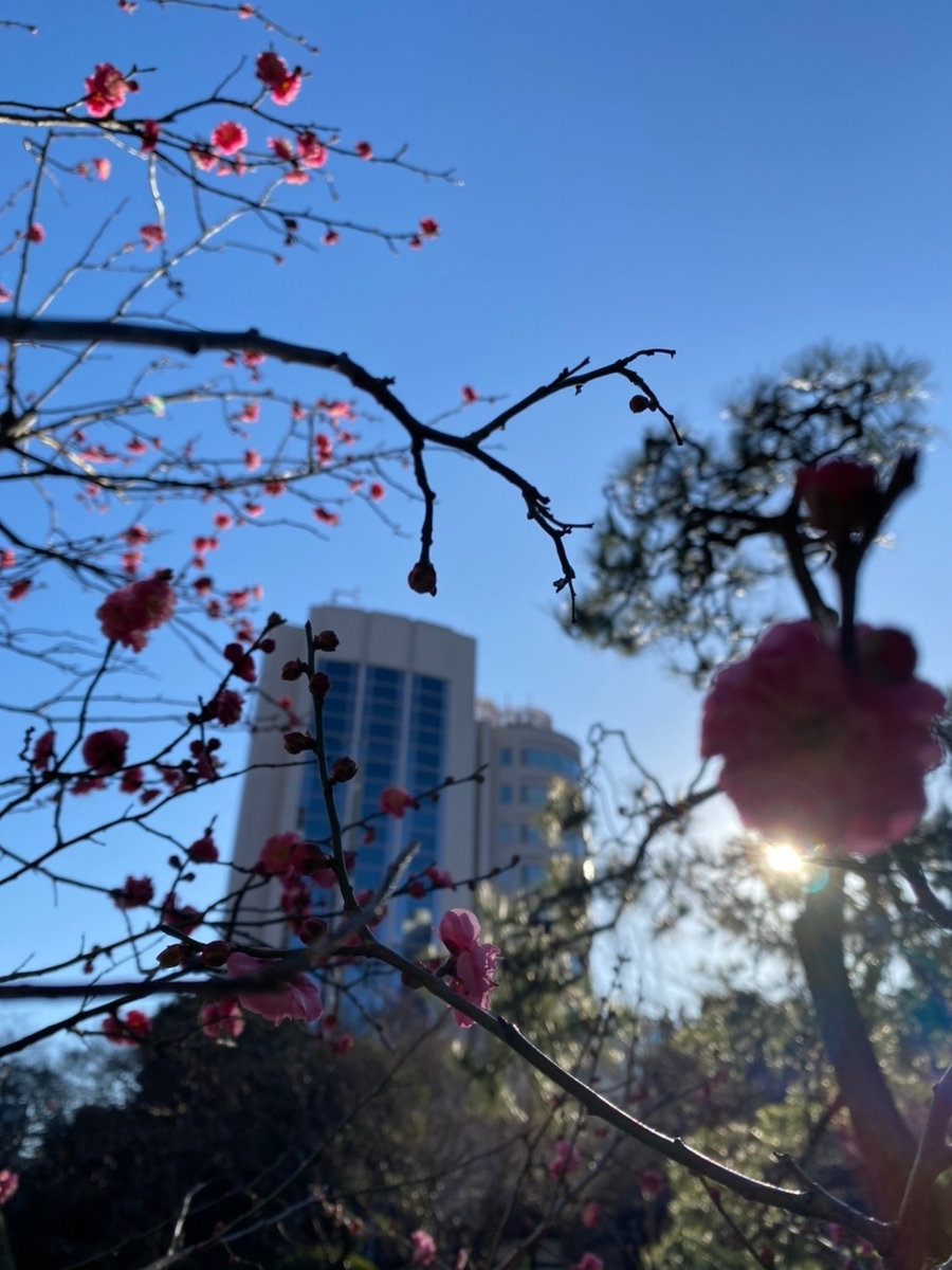 ザ・プリンスさくらタワー東京 日本庭園（Marriott & Go）