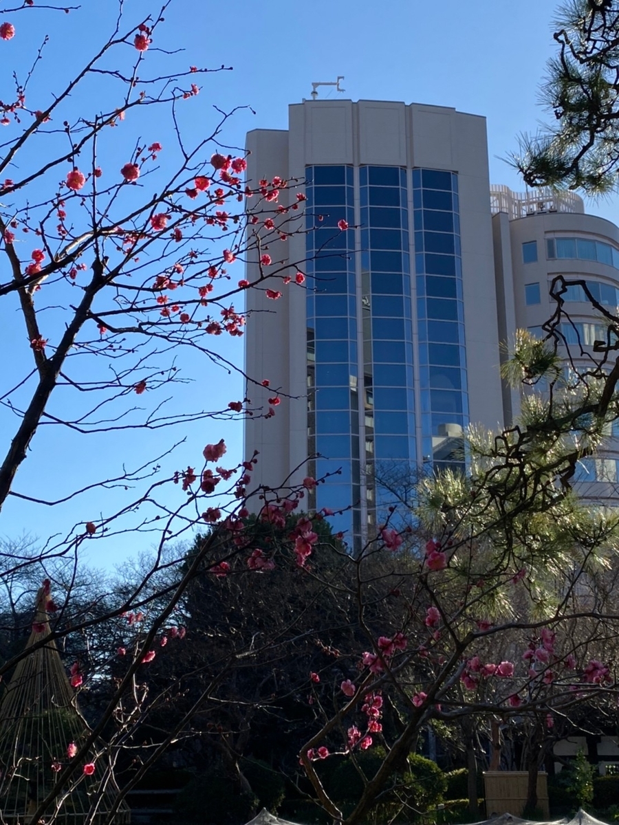 ザ・プリンスさくらタワー東京 日本庭園（Marriott & Go）