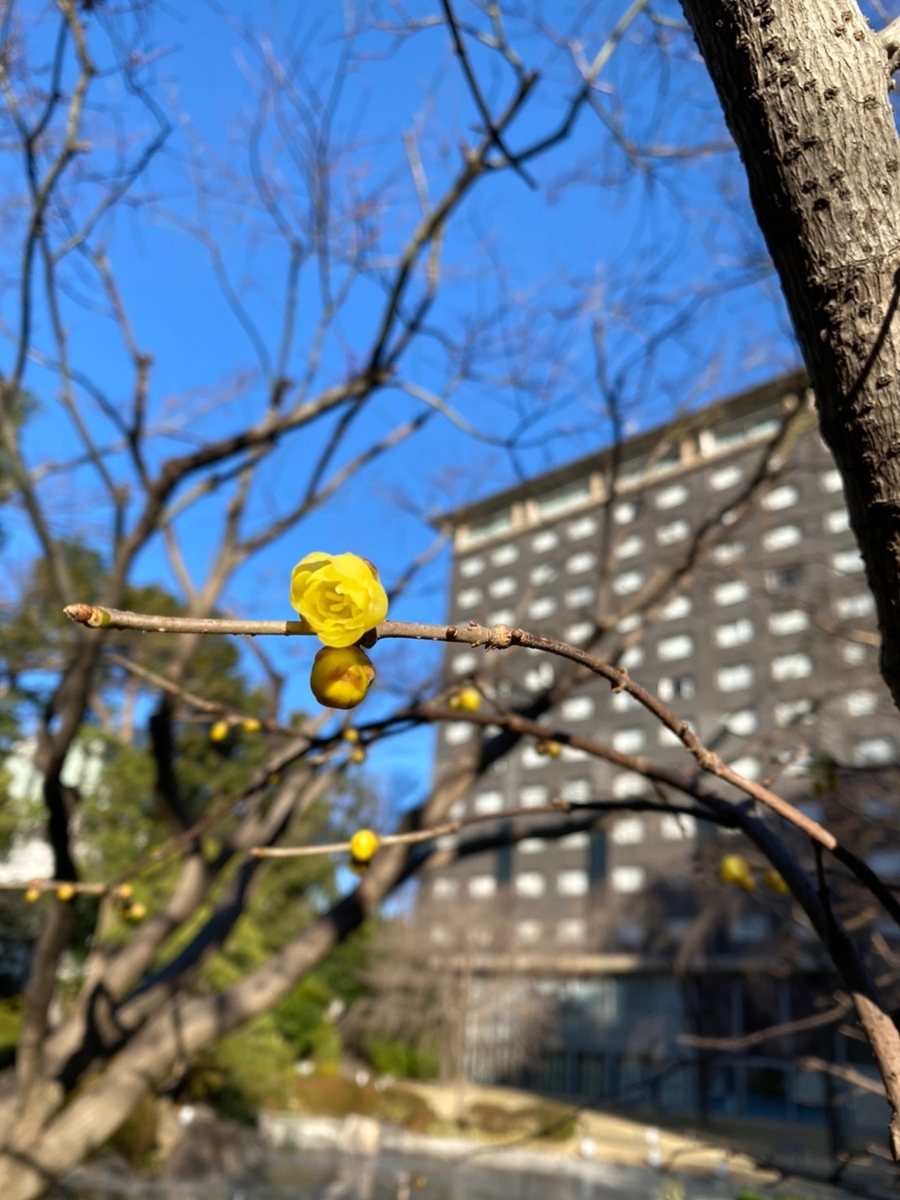 ザ・プリンスさくらタワー東京 日本庭園（Marriott & Go）