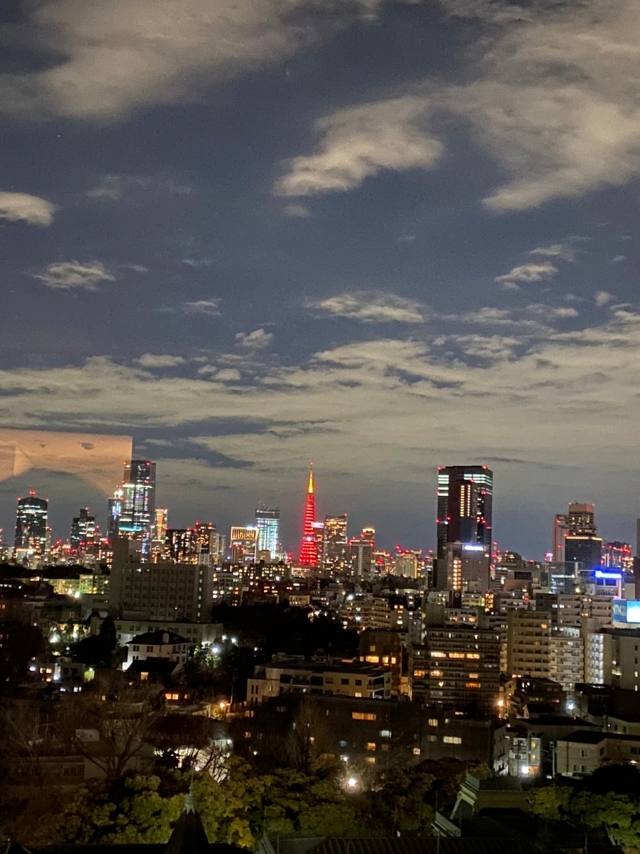 ザ・プリンスさくらタワー東京 デラックスタワーキング 東京タワー景色（Marriott & Go）