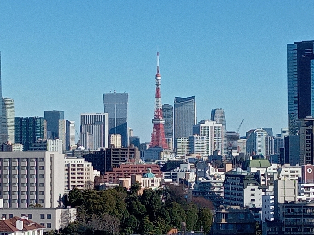 ザ・プリンスさくらタワー東京 デラックスタワーキング 東京タワー景色（Marriott & Go）