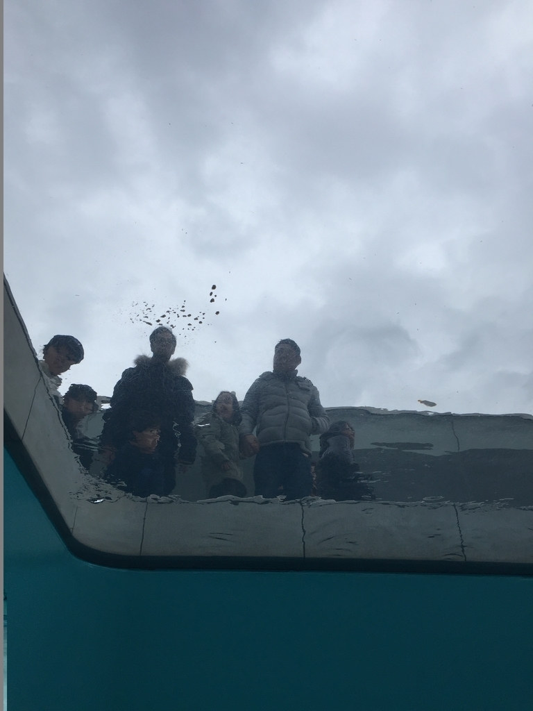 f:id:winered_sky:20190111163526j:plain f:id:winered_sky:20190111163526j:plain