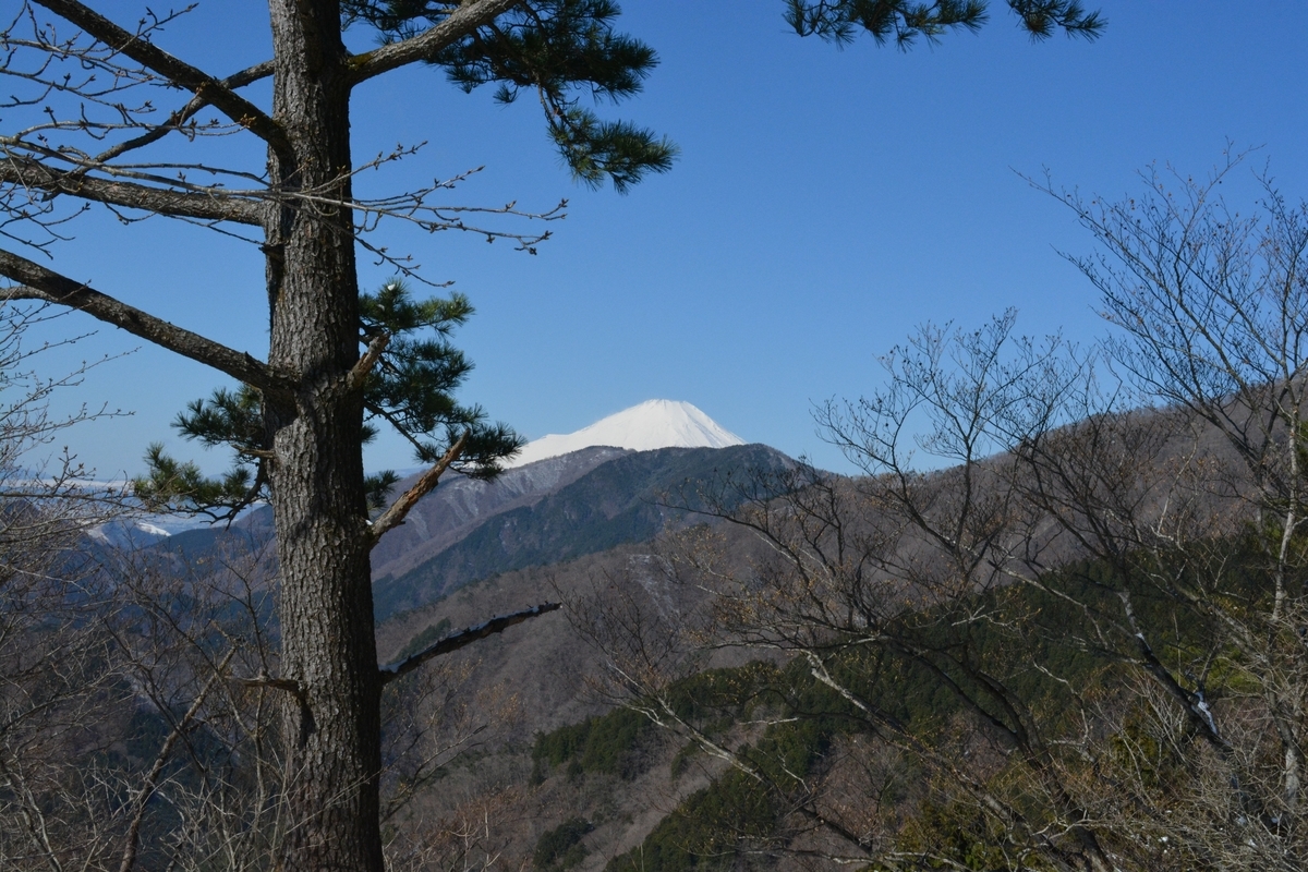 f:id:winered_sky:20190325213953j:plain f:id:winered_sky:20190325213953j:plain