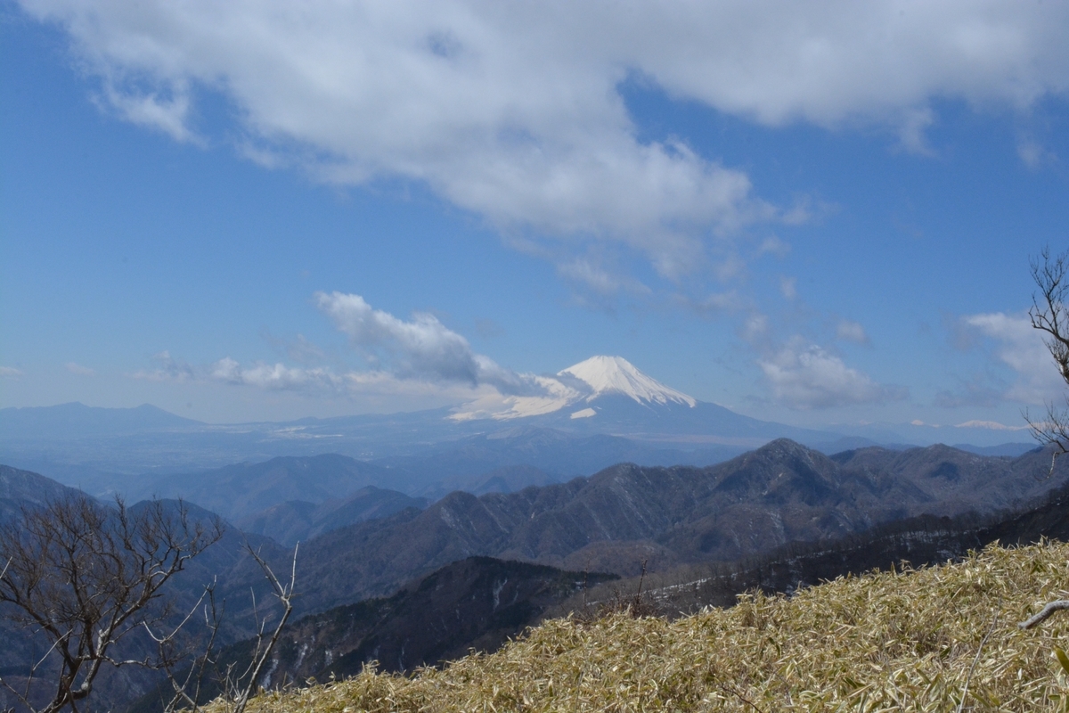 f:id:winered_sky:20190325214049j:plain f:id:winered_sky:20190325214049j:plain