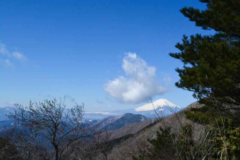 f:id:winered_sky:20190325214814j:plain f:id:winered_sky:20190325214814j:plain