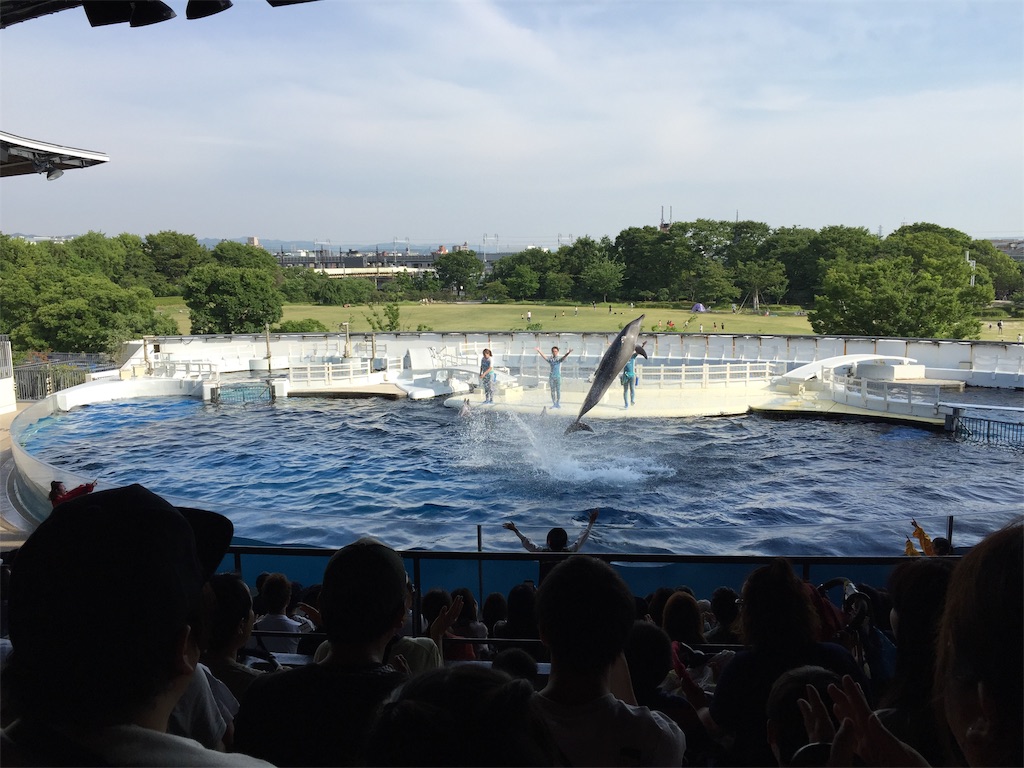 f:id:winered_sky:20190609214506j:plain f:id:winered_sky:20190609214506j:plain