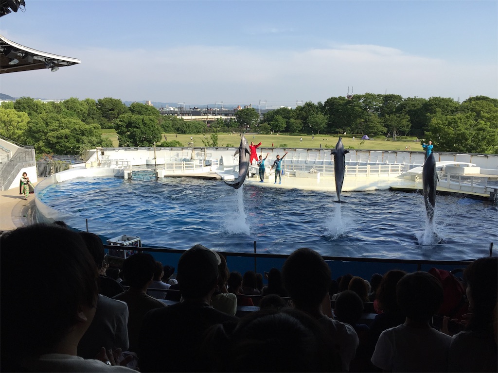 f:id:winered_sky:20190609214512j:plain f:id:winered_sky:20190609214512j:plain
