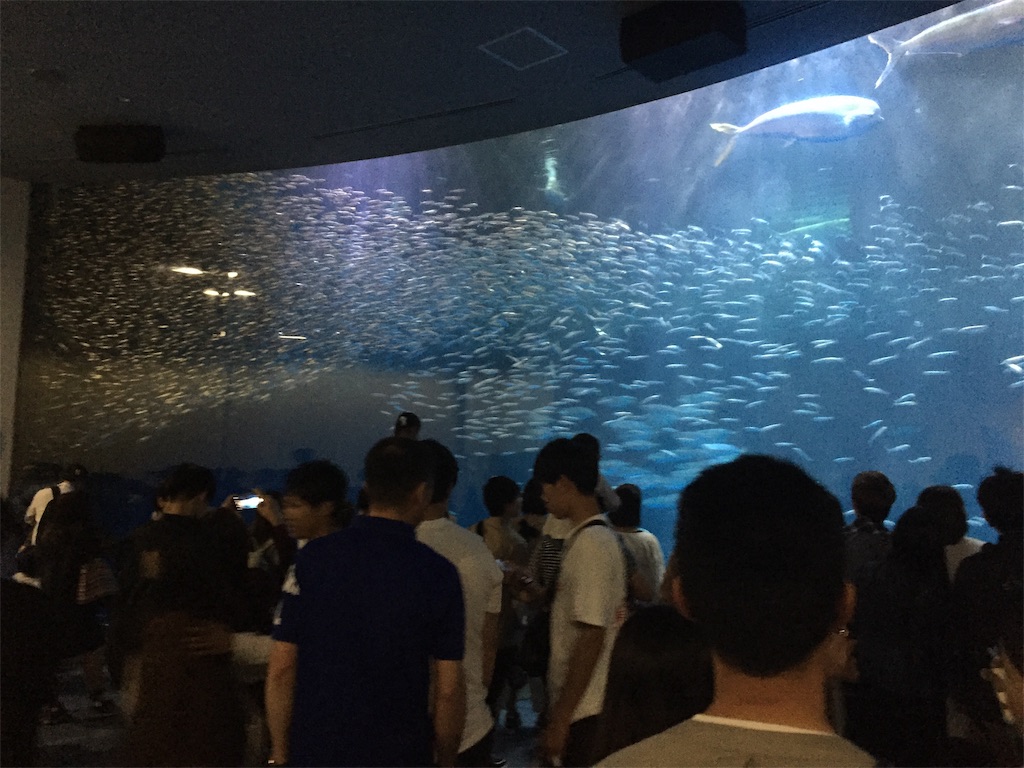 f:id:winered_sky:20190609215140j:plain f:id:winered_sky:20190609215140j:plain