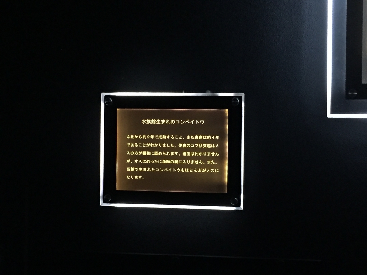 f:id:winered_sky:20190721222231j:plain f:id:winered_sky:20190721222231j:plain