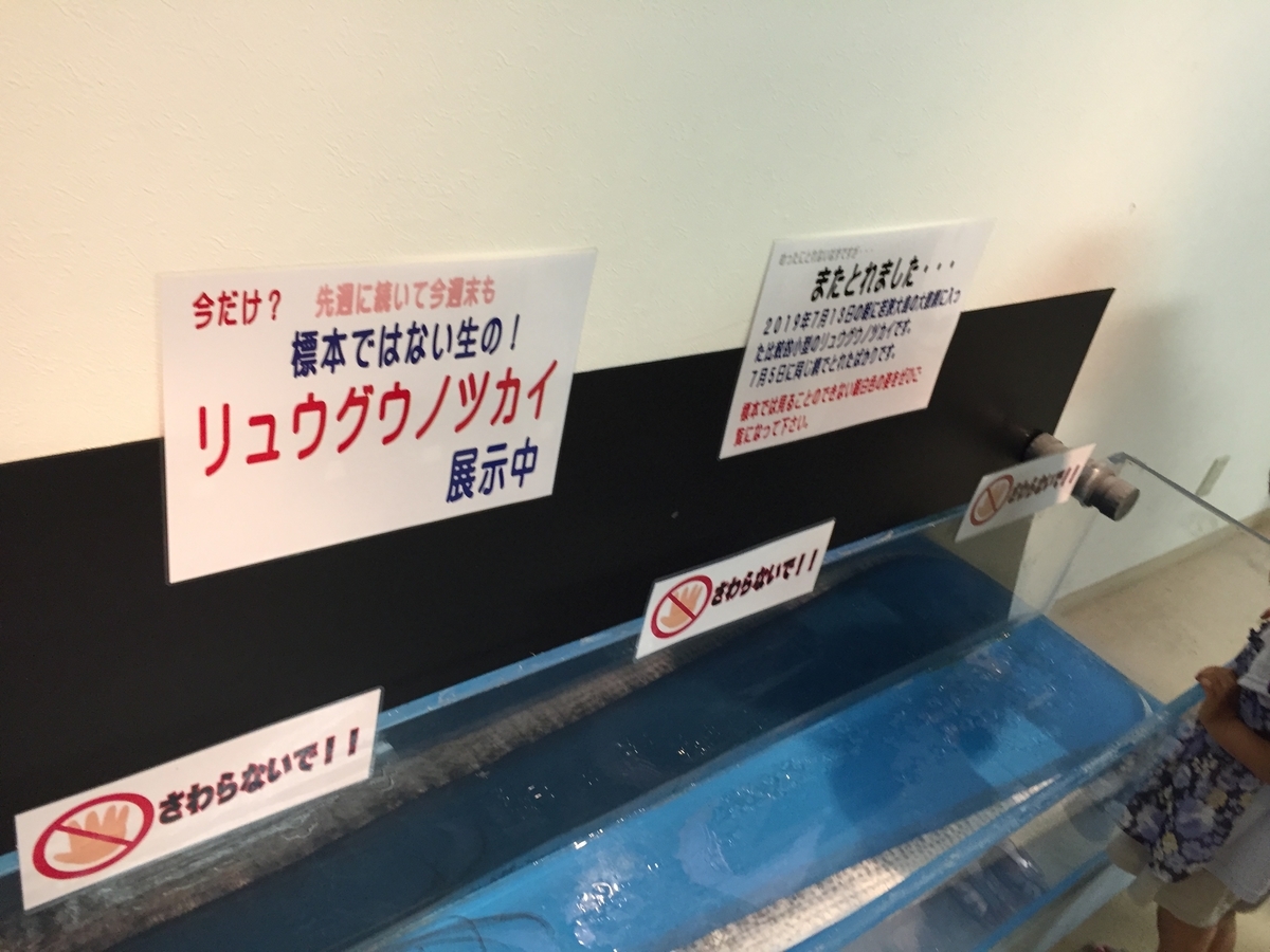 f:id:winered_sky:20190721222711j:plain f:id:winered_sky:20190721222711j:plain